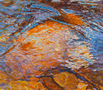 Tranzpazendenza 110x130
