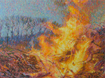 El sueno de la razon 100x135